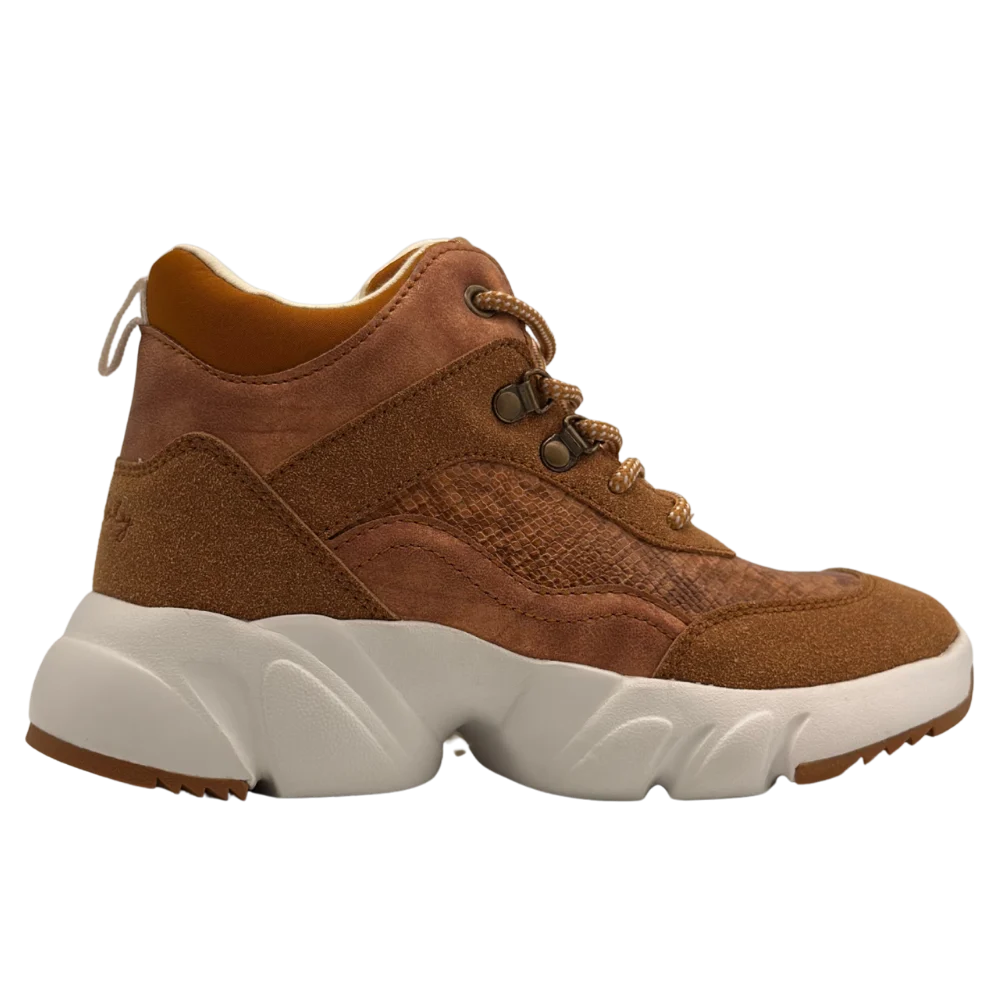 COLLOKY BOTIN 540602 93